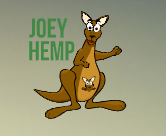 joey-hemp-coupons