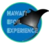 Hawaii Efoil Experience Coupons