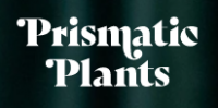 Prismatic Plants Coupons