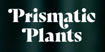 prismatic-plants-coupons