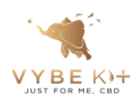 Vybe Kit Coupons