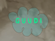 The Guudi Coupons