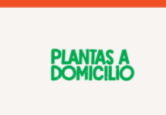 Plantas a Domicilio Coupons