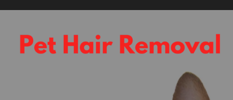 pet-hair-removal