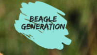 Beagle Generation Coupons