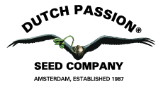Dutch Passion Coupons