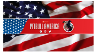 PITBULL AMERICA Coupons