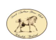 Southarabianhorseclub Coupons