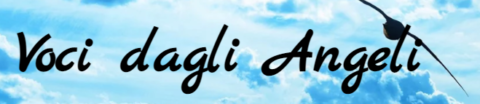 VocidagliAngeli Coupons