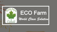 eco-farm