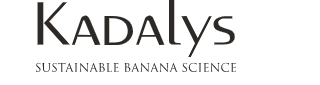 Kadalys Coupons