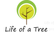 30% Off Life Of A Tree Coupons & Promo Codes 2023