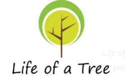 Life Of A Tree Coupons