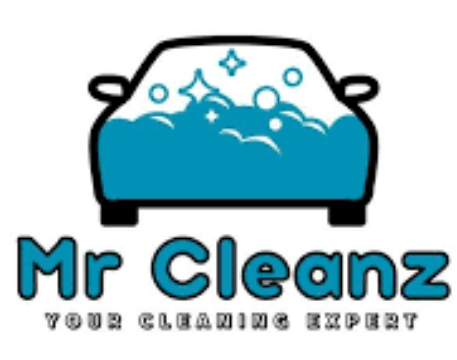 Mr Cleanz Official Coupons