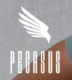 Pegasus Fitness Co Coupons