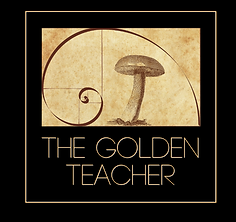 40% Off The Golden Teacher Coupons & Promo Codes 2024