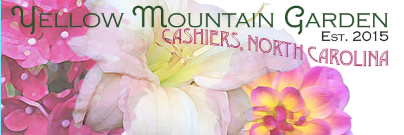 Yellowmountaingarden Coupons