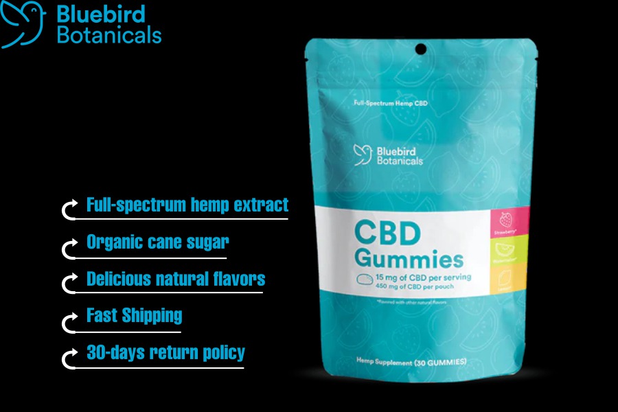 Best CBD Gummies on the market
