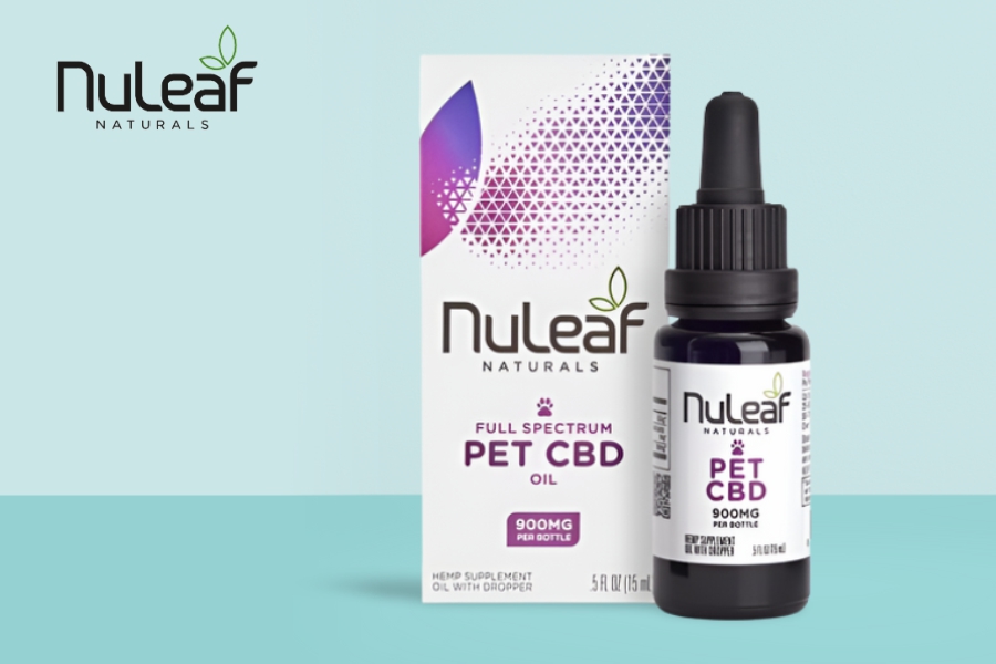  High-Grade Premium CBD Products For Pets
