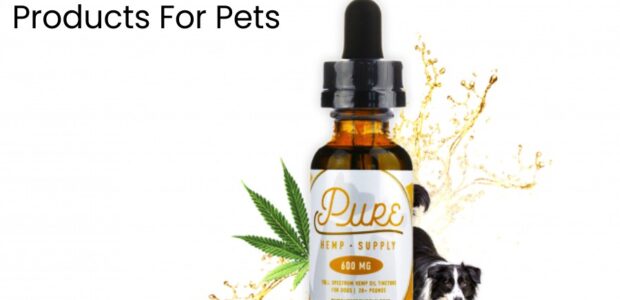Top 10 Best CBD Products For Pets