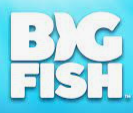 Big Fish Solutions Coupons