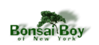 Bonsai Boy Of New York Coupons