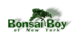 bonsai-boy-of-new-york-coupons