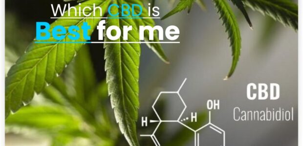 which cbd is best for me