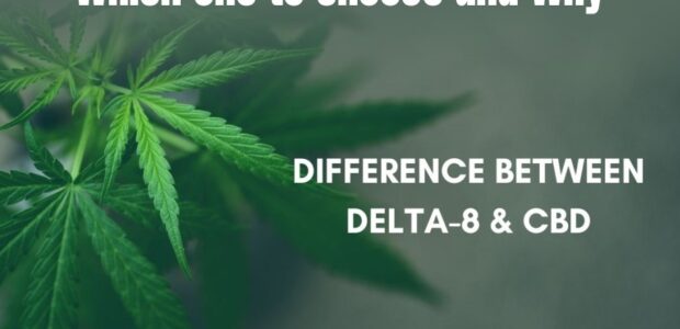 CBD vs Delta 8: which one to choose and why