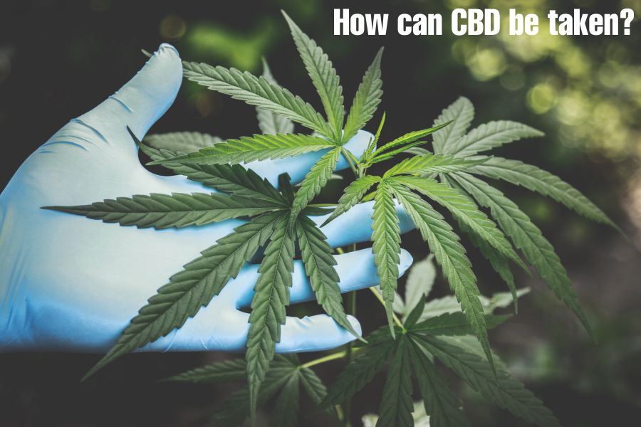 How can CBD be taken