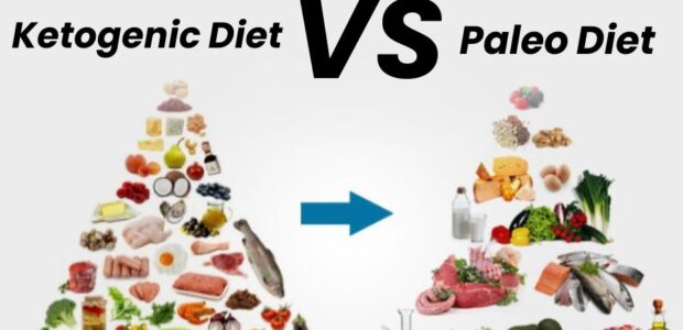 Ketogenic Diet vs Paleo