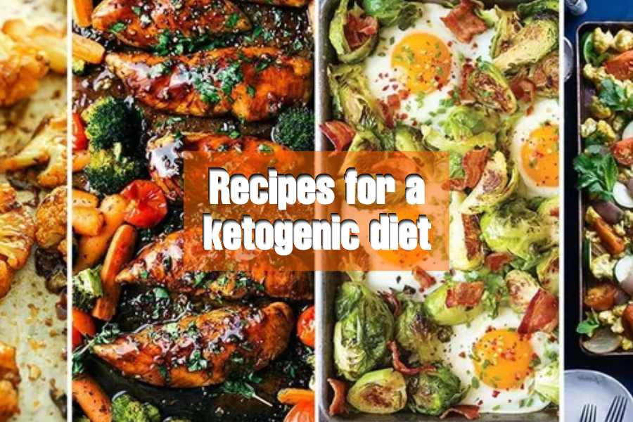 Recipes for a ketogenic diet