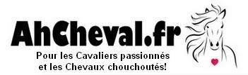 Ahcheval FR Coupons