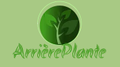 arriere-plante-coupons