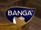 banga-srbija-coupons
