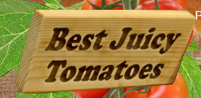 best-juicy-tomatoes-coupons