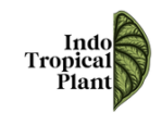 Indo Tropical Plant Coupons