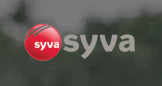 syva-mexico-coupons