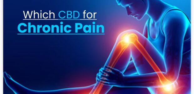 11 Best CBD Oils for Chronic Pain 2022