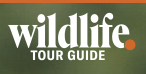 Wildlife Coupons