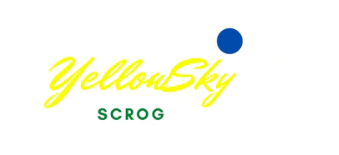 Yellow Sky Scrog Coupons