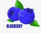 Blueberry Pet European Coupons