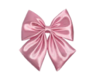 Pink Bow Elegance Boutique Coupons