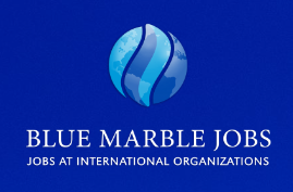 Blue Marble Jobs Coupons