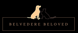 Belvedere Beloved Coupons