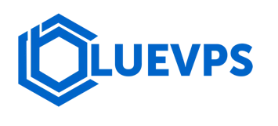 BlueVPS Coupons