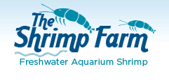 The Shrimp Farm Coupons