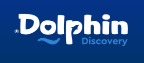 Dolphin Discovery MX Coupons