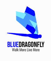 Blue Dragonfly Coupons