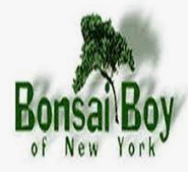 bonsai-boy-coupons